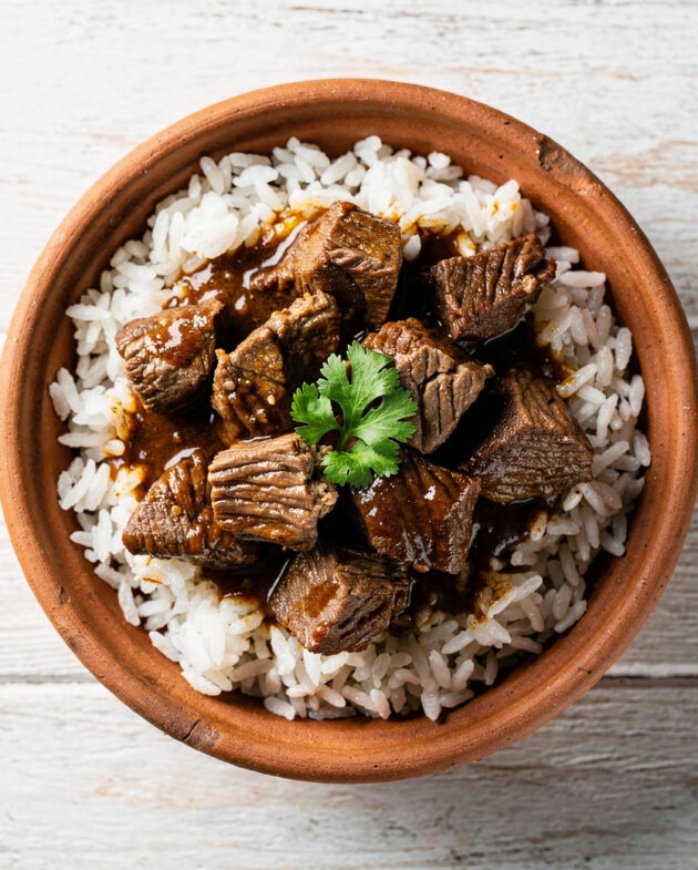 A rustic bowl of deeply flavorful brazilian beef stew, garnished with fresh cilantro, served over rice.