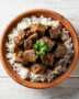 A rustic bowl of deeply flavorful brazilian beef stew, garnished with fresh cilantro, served over rice.